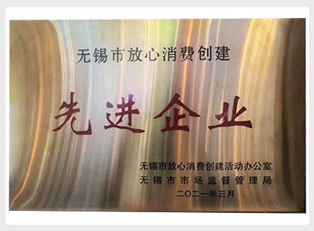 2021年无锡先进项目